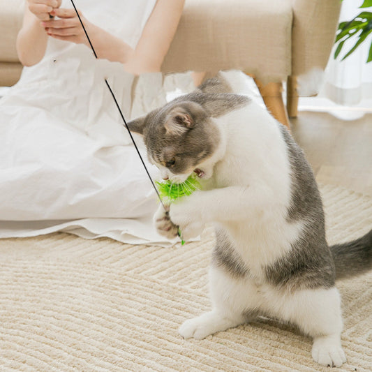 WauundMiau - Katzenspielzeug mit Saugnapf