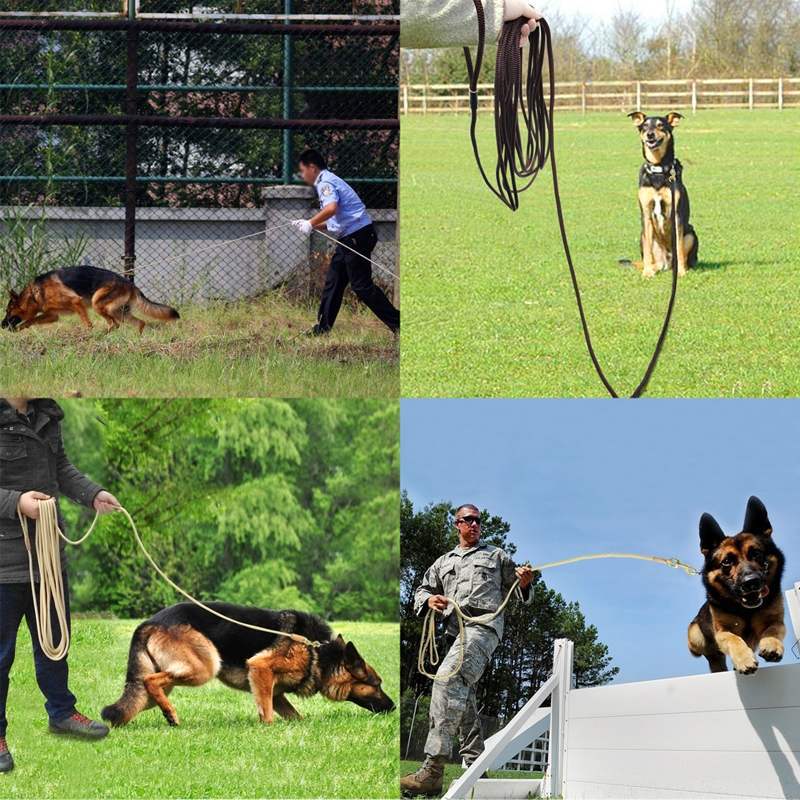 WauundMiau - Hunde Trainingsleine