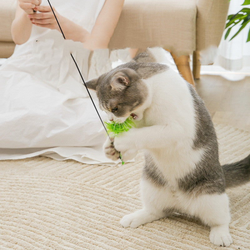 WauundMiau - Katzenspielzeug mit Saugnapf