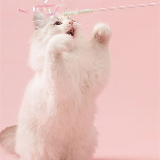 WauundMiau - Katzenangel